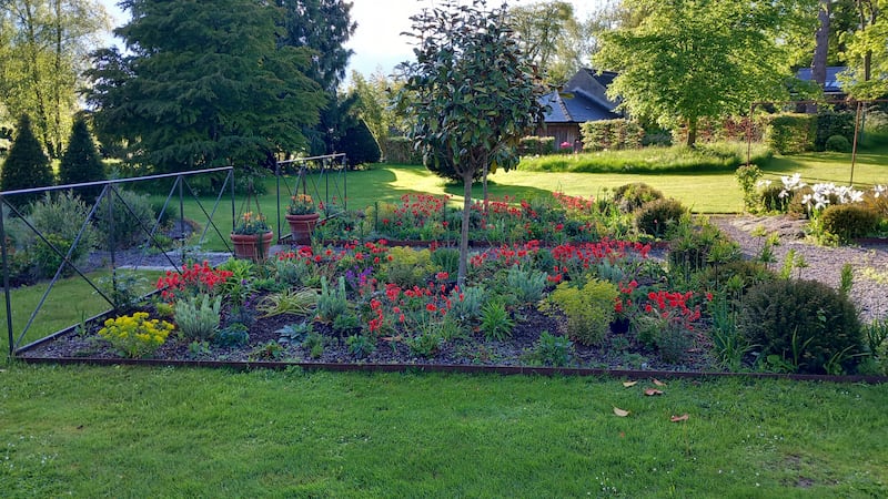 Over the last four years Des Doyle has recorded the evolution of his garden on film with the film-maker Alan Slattery. 