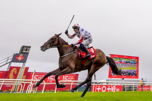 Danny Gilligan wins second Galway Plate in three years as Western Fold powers to Ballybrit glory