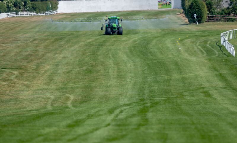 Track watering is a difficult balancing act, as shown in recent weeks. Photograph: Morgan Treacy/Inpho