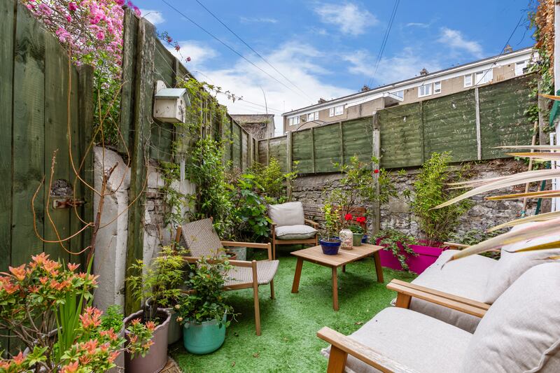 Back yard