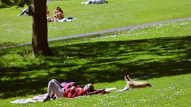 Blue skies and warm temperatures in store for start of weekend