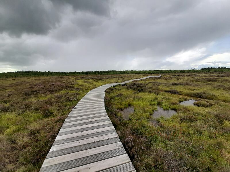 Raised bog of Abbeyleix, Ireland. Photograph: Roy van Beek/The New York Times