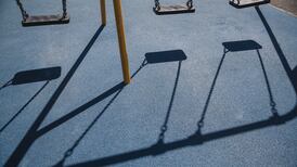 Boy attacked by dogs in Wicklow playground settles High Court action for €60,000