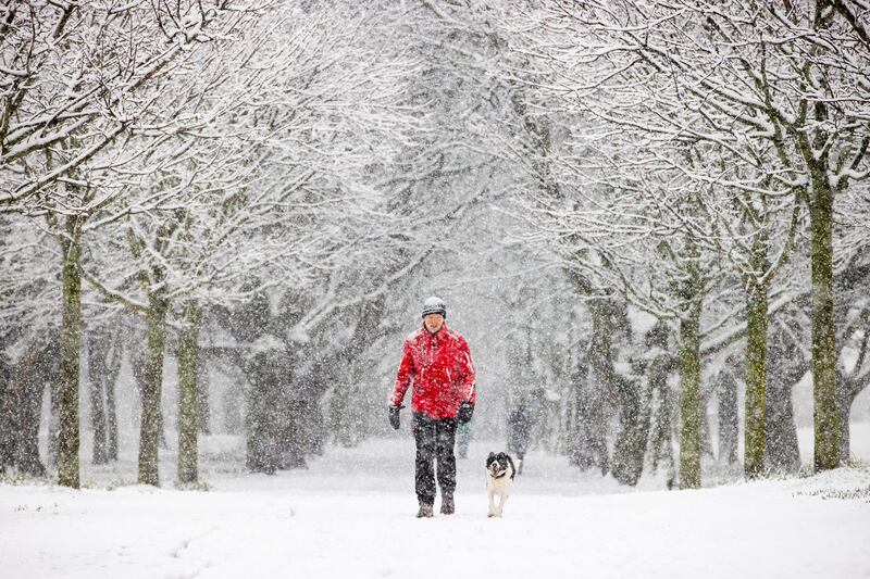 Donal O’Dea and his dog 'Reily' in Fairview Park, Dublin.
Photograph: Tom Honan