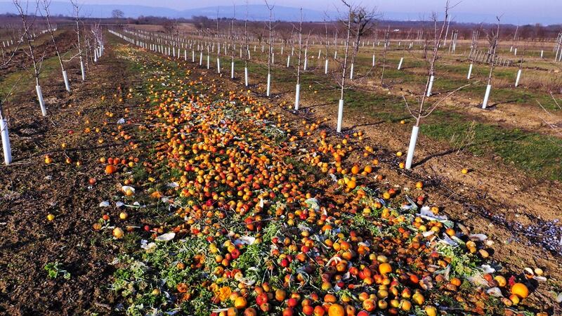 Food waste occurs at each stage of its supply chain. At an agricultural level, a crop that doesn’t make the grade may not even get harvested. Photograph: Getty Images