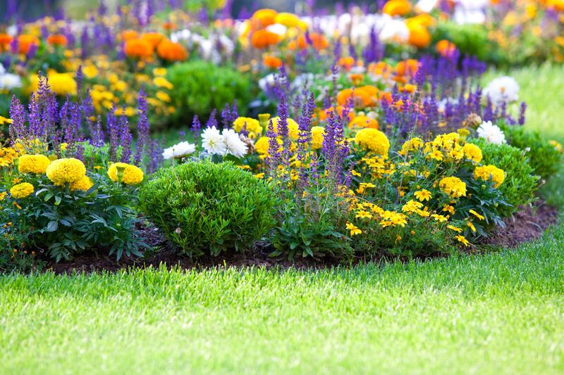 Before using them in your garden or allotment, leave cardboard boxes out in the rain. Photograph: iStock