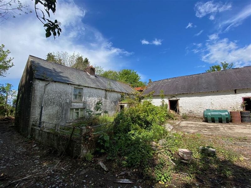 Farmhouse, Ballinteskin