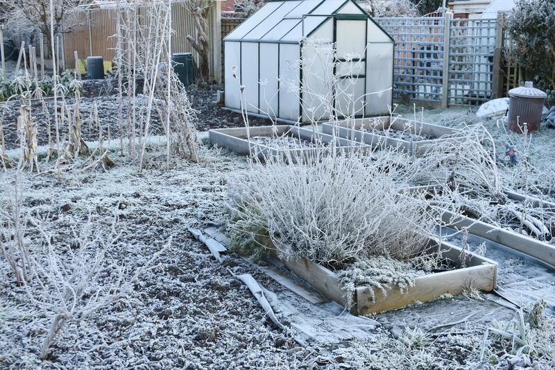 covered in ice on a winters day