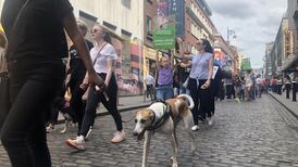 Protesters urge end to State support over ‘horrors’ of greyhound racing