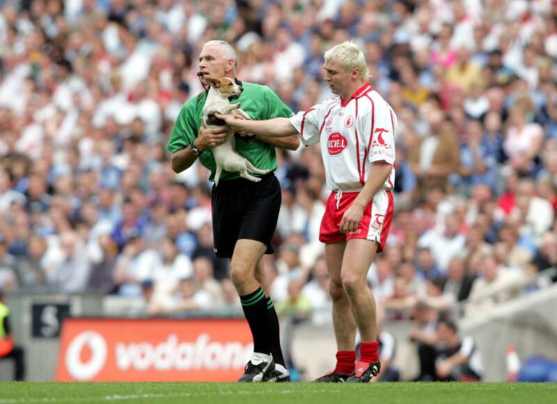 Tyrone's Owen Mulligan rescues a dog and gives it to referee during the game against Dublin. Photograph: Tom Honan/Inpho
