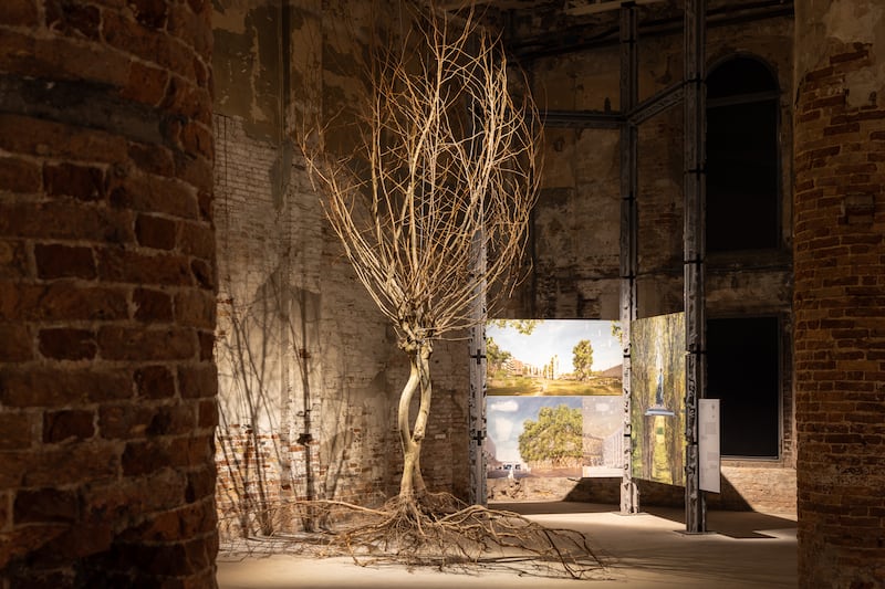 Architecture as Trees, Trees as Architecture at the Venice Biennale. Photograph: Marco Zorzanello