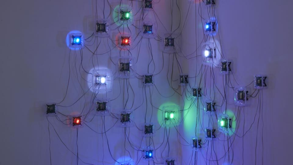 Detail from Life (Corps sans Organes) No 19 (2013) by Tatsuo Miyajima
