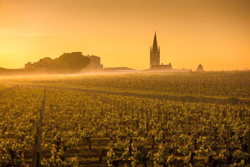 A vineyard at Saint Emilion, Bordeaux. Consumption of red wine in France has fallen by about 90 per cent since the 1970s. Photograph: iStock