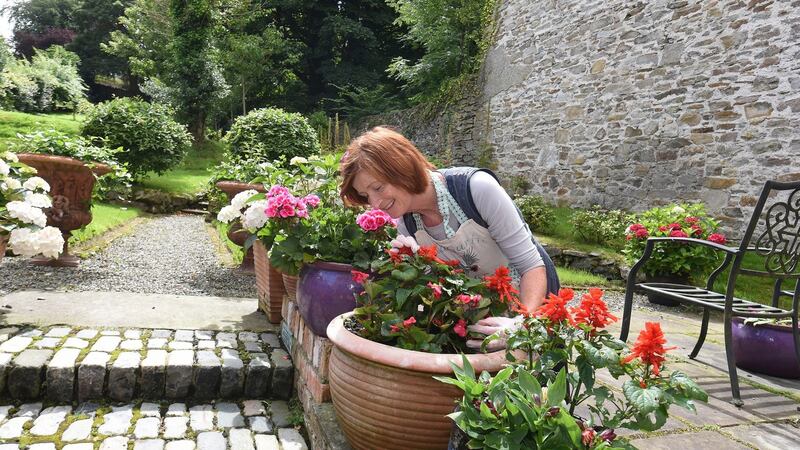 Wild Garlic Table chef  Pauline Sugrue in her rear garden. “When we came here first, it was a maze of weeds and briars. It now has seven levels and terraces, a small vegetable area, lawns, two woodland gardens and a hen house.”