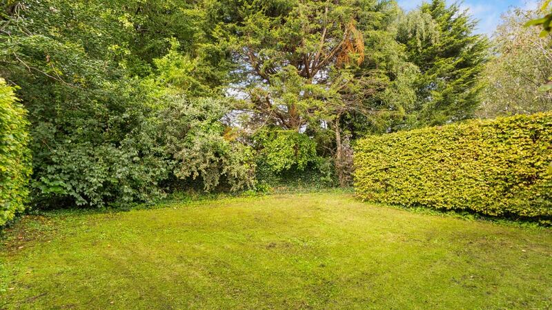 The garden