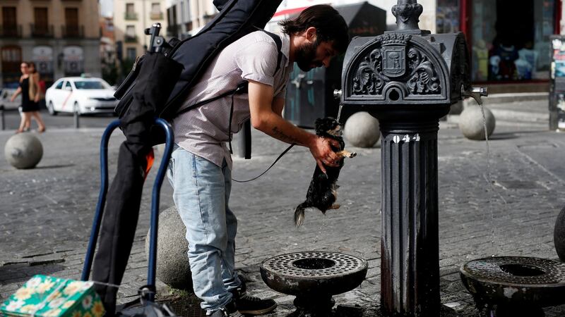 A dog drinks water from a public fountain, as temperatures soar across Europe, in Madrid, Spain. Photograph: Janier Barbancho/Reuters