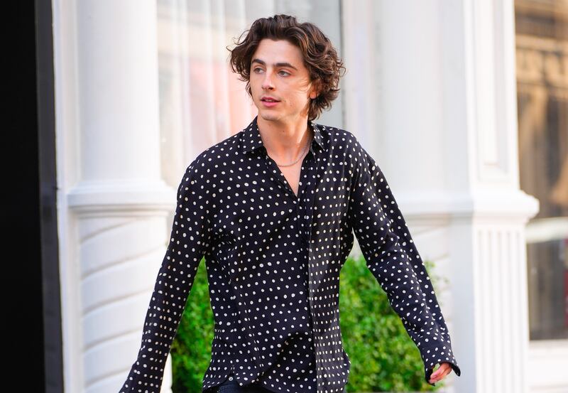 Timothée Chalamet. Photograph: Gotham/Getty Images