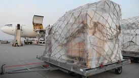 Two planeloads of medical aid arrive in Yemeni capital