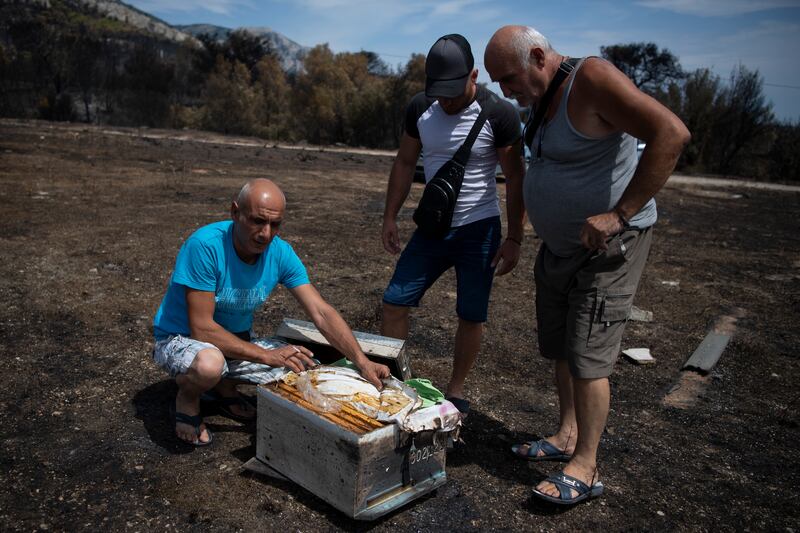 Ilias Hapsas (left), a 44-year-old beekeeper inspects a scorched beehive in Acharnes suburb of Athens. Photograph: Michael Varaklas/AP