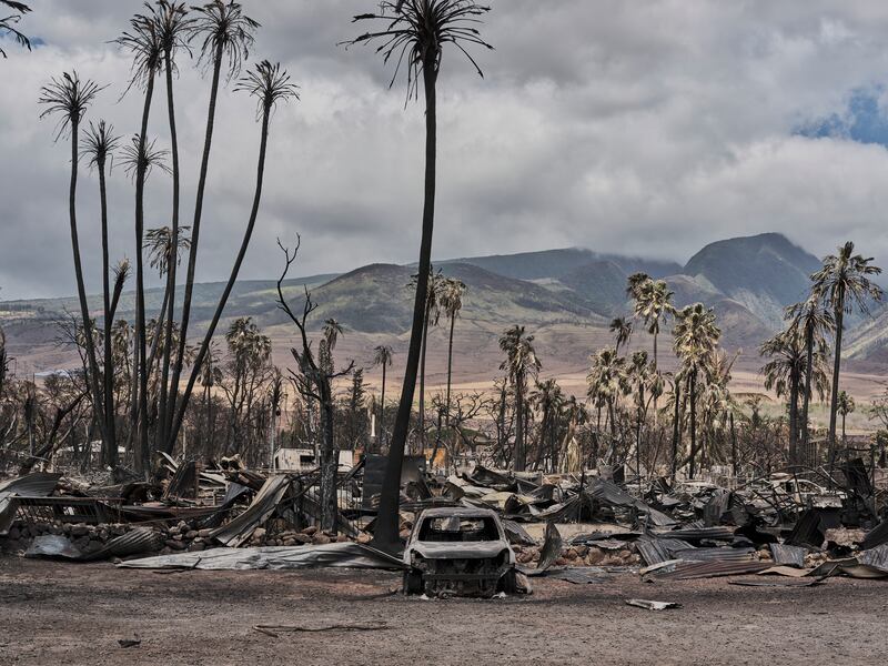 Buildings destroyed by wildfires in Lahaina, Maui, Hawaii. Photograph: Philip Cheung/New York Times
                      