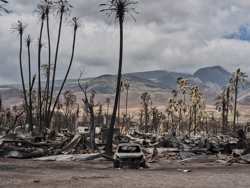 Buildings destroyed by wildfires in Lahaina, Maui, Hawaii. Photograph: Philip Cheung/New York Times