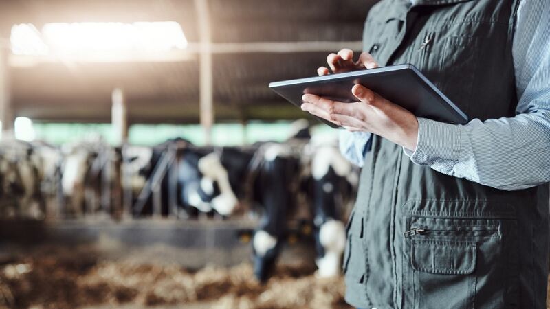 Almost 300 companies are part of Bord Bia’s national sustainability programme. File photograph: iStock