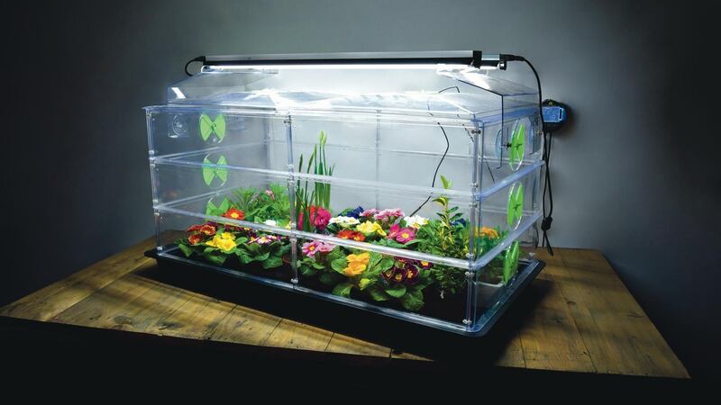Vitopod thermostatically controlled heated propagator (quickcrop.ie, from €148, with Sunblaster horticultural lamps from €99)