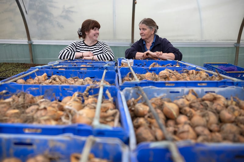 Niamh McNally and Jenny McNally at McNally Family Farm shop, growers of seasonal organic vegetables and salads, in Balrickard, Co Dublin. Photograph: Chris Maddaloni/The Irish Times