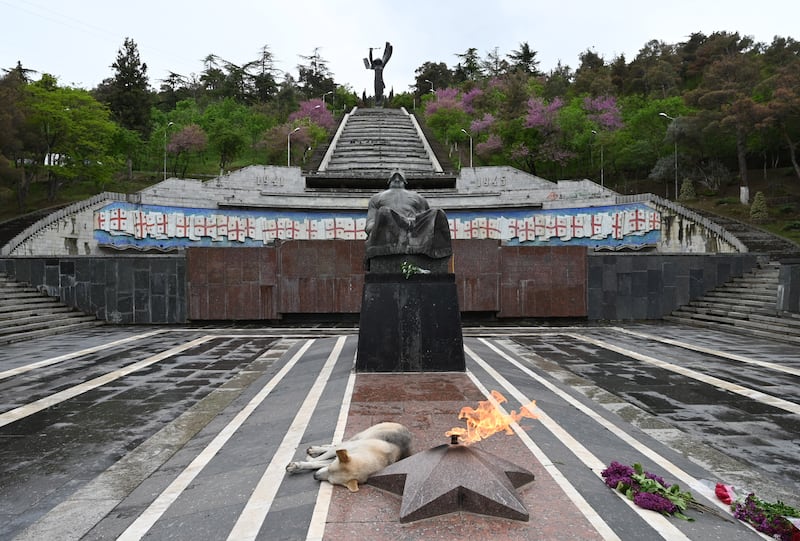 A dog rests by the eternal flame at the Tomb of the Unknown Soldier in Tbilisi. Photograph: Vano Shlamov/AFP via Getty Images