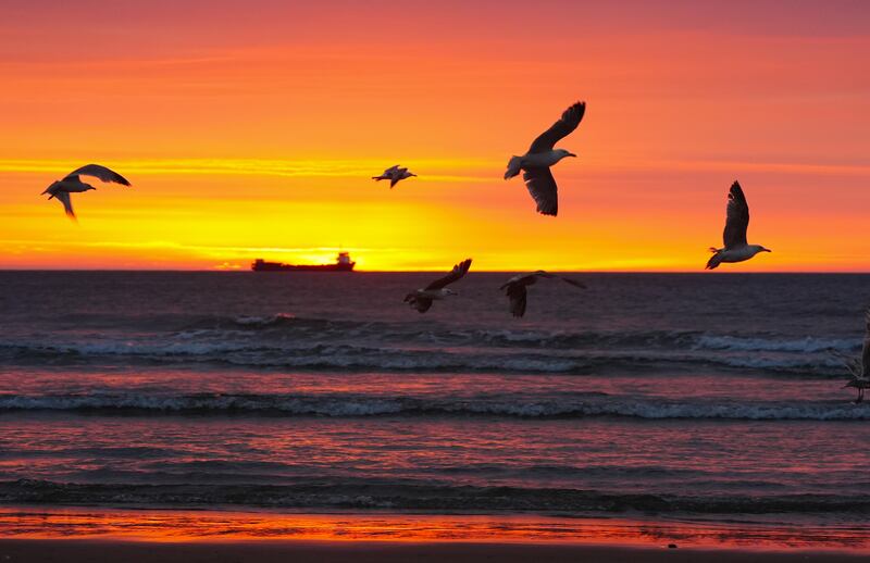 Sunrise at Tynemouth Beach in the north east of England. Photo: Owen Humphreys/PA Wire
