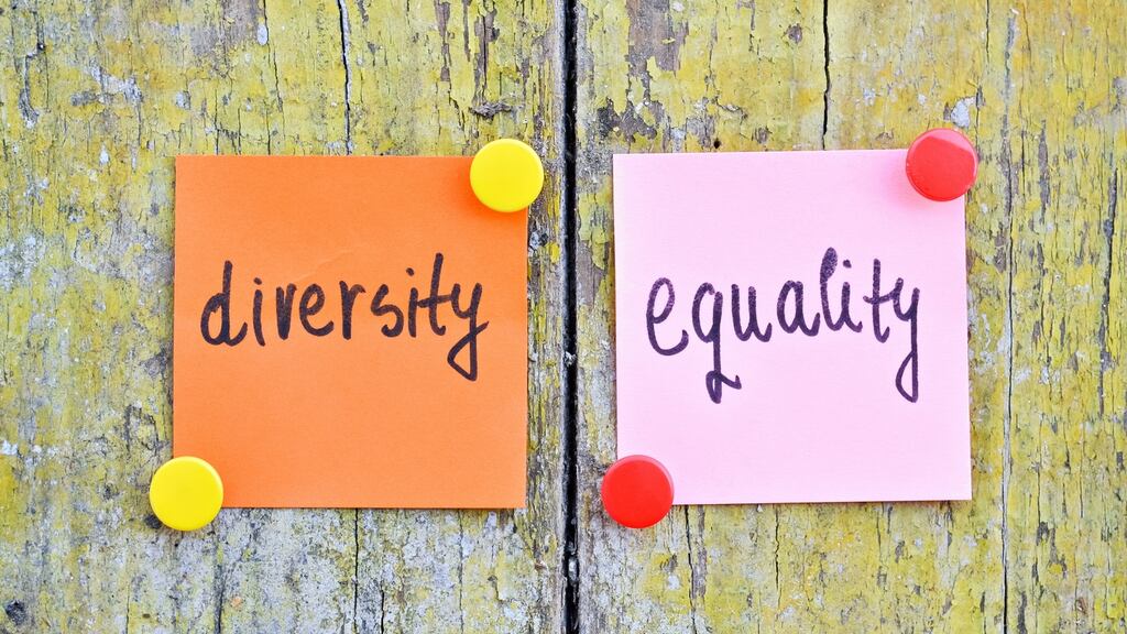 Emily Logan, chief commissioner of the Irish Human Rights and Equality Commission, says it is important that graduates entering the workplace are aware of employment rights. Photograph: iStockphoto/Getty Images