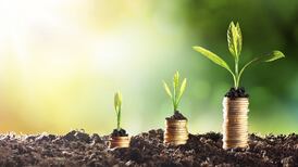 How to avoid the pitfalls of risky investments