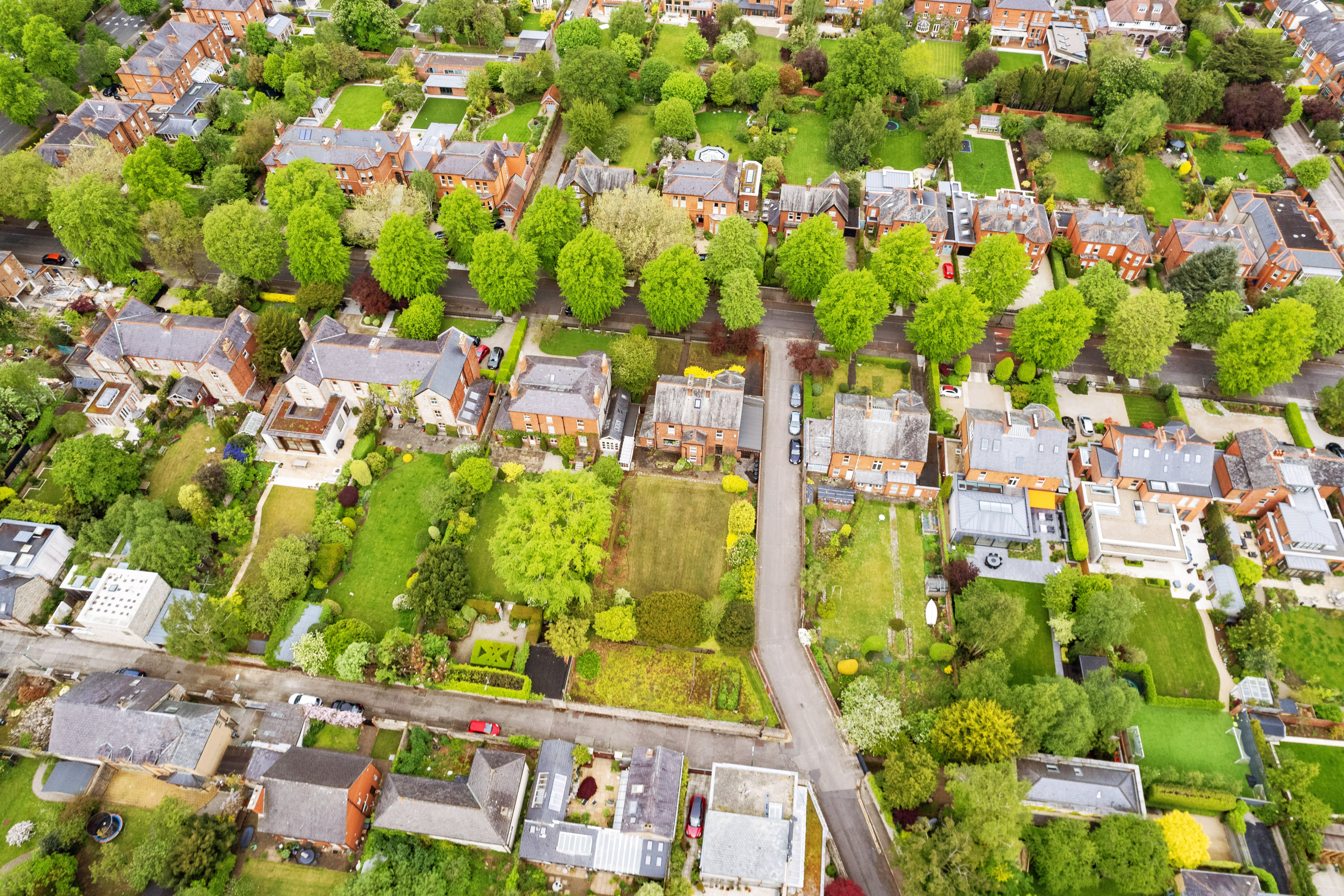 Nature’s climate controllers help city-dwellers cope with rising heat