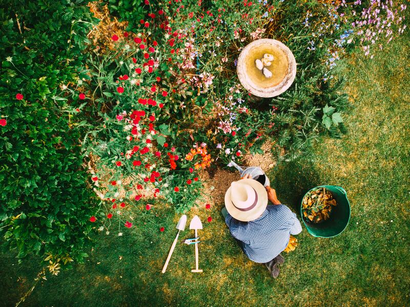 A garden is a bonus of living in a house. Photograph: Getty Images