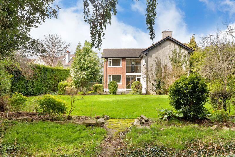 Back garden