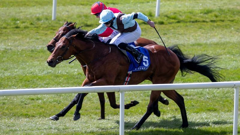 Ryan Moore on Glounthaune comes home to win the the Irish Stallion Farms EBF Maiden at the Curragh. Photograph: Morgan Treacy/Inpho