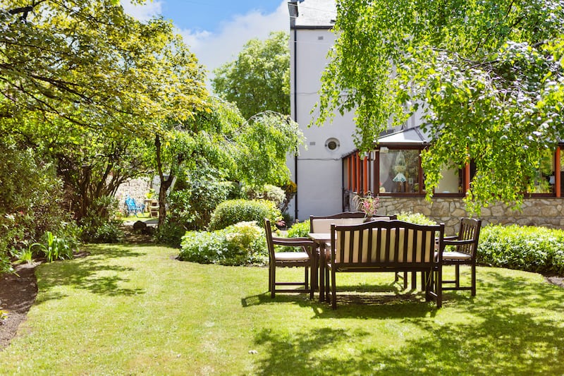 Back garden