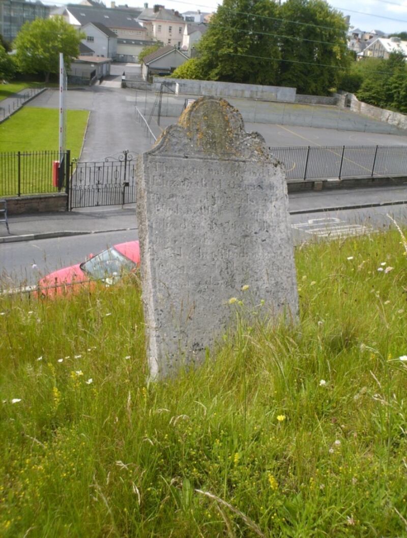 The Heritage Council explores solutions from various angles - one example is using old urban graveyards, such as this one in Laois, as sites for pollinator plants 