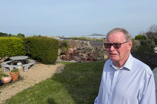 ‘I don’t envisage lying in front of bulldozers’: Man wants reprieve for €300,000 Sutton extension