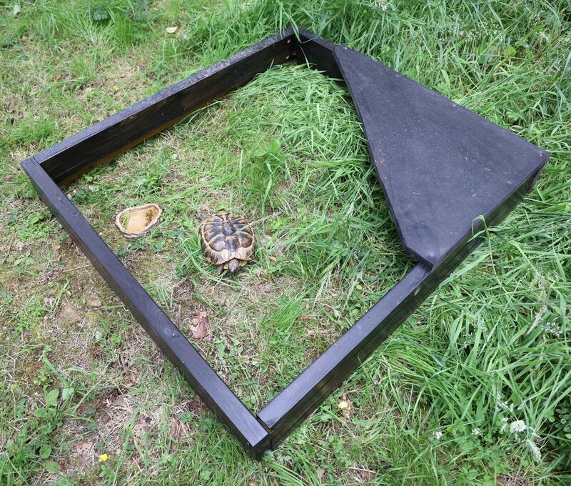 Pancake has a movable grazing frame. Photograph: Nick Bradshaw