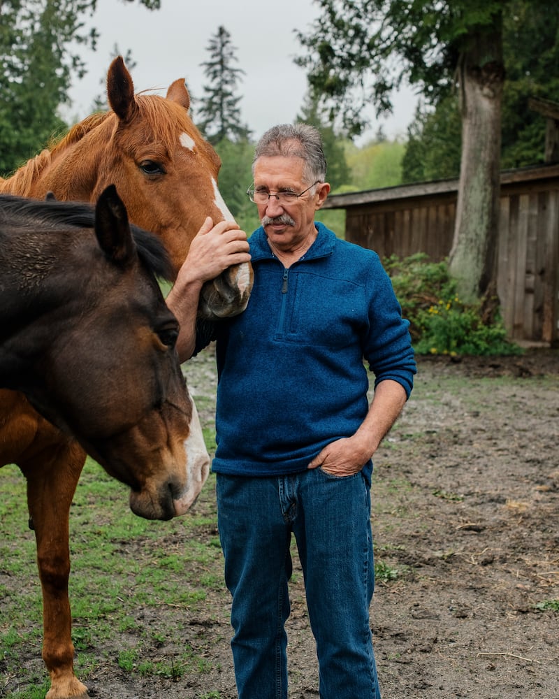 Richard Beauvais visits his horses, Rita and Red, at his property in British Columbia, Canada on May 5th, 2023: he had a difficult childhood that was made more traumatic by Canada’s brutal policies toward Indigenous people. Photograph: Alana Paterson/The New York Times