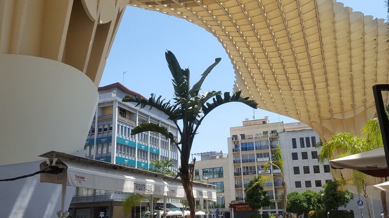 Metropol Parasol in Seville. Photograph: Georgina Heffernan