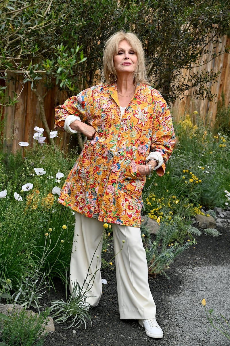 Joanna Lumley at the Chelsea Flower Show in London in May. Photograph: Dave Benett/Getty Images for The King's Trust