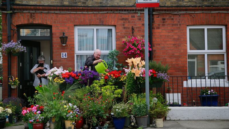 Maureen and Larry McDonnell (and Shadow the cat) of Dodder View cottages collect water from the Dodder River to keep their floral display fresh during the drought. Photograph: Nick Bradshaw/ The  Irish Times