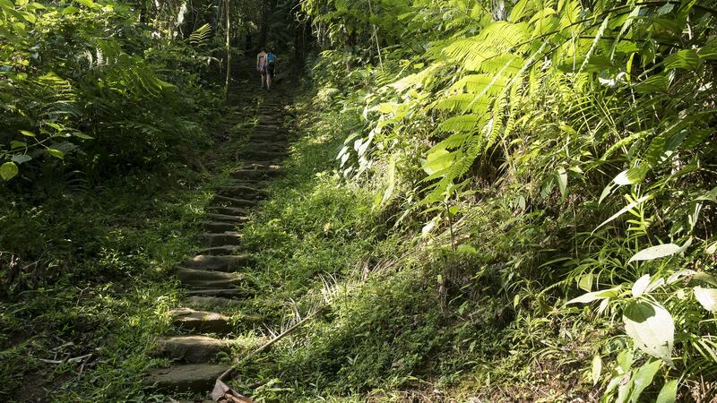 The Lost City consists of a series of 169 terraces carved into the mountainside, a net of tiled roads and several small circular plazas. Photograph: Getty Images
