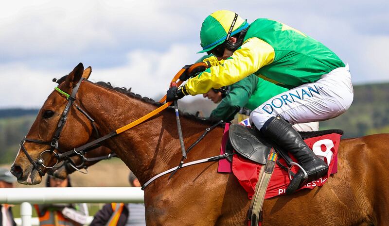 Darragh O'Keeffe on Gorgeous Tom clears on his way to winning at the 2023 Punchestown Racing Festival. Photograph: Ryan Byrne/Inpho