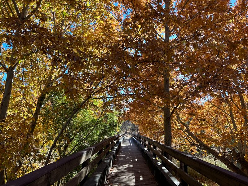 Red Rock State Park: one of the many ideal hiking locations in Arizona. Photograph: Gemma Tipton 