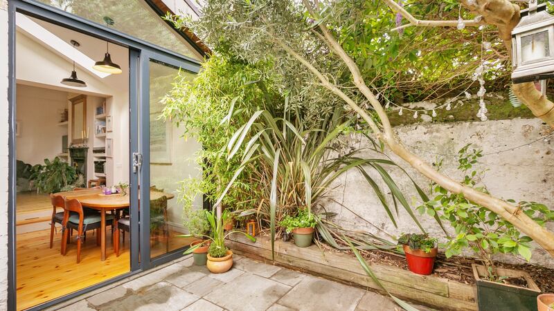 Patio garden.