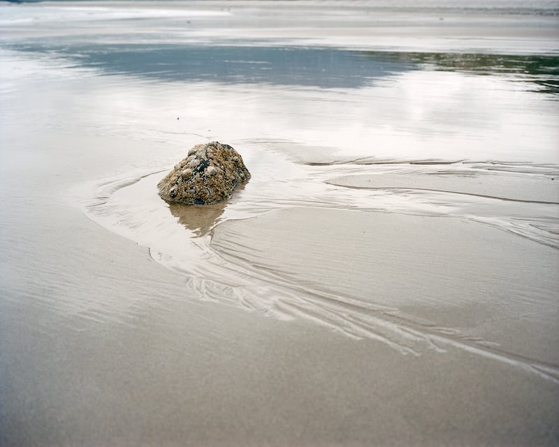 Photograph: Linda Brownlee