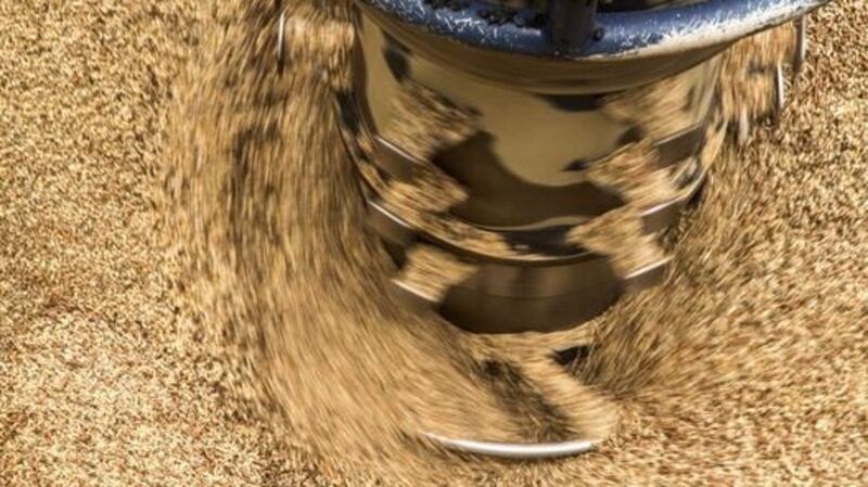Wood pellets: The  RHI was supposed to offer a proportion of the cost businesses had to pay to run eco-friendly boilers, but the subsidy tariffs were set too high, and without a cap, so the state ended up paying out significantly more than the price of fuel. File photograph: Getty Images